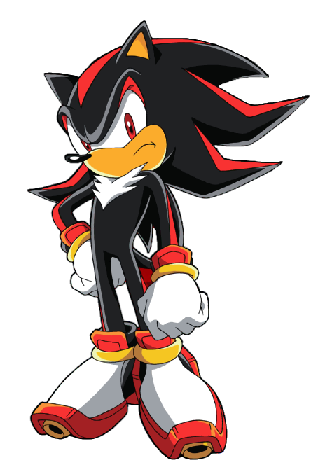 Cartoon Characters: Sonic X