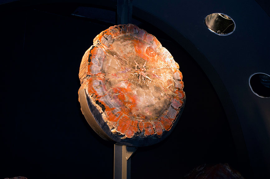 Things I Make And Find American Museum Of Natural History