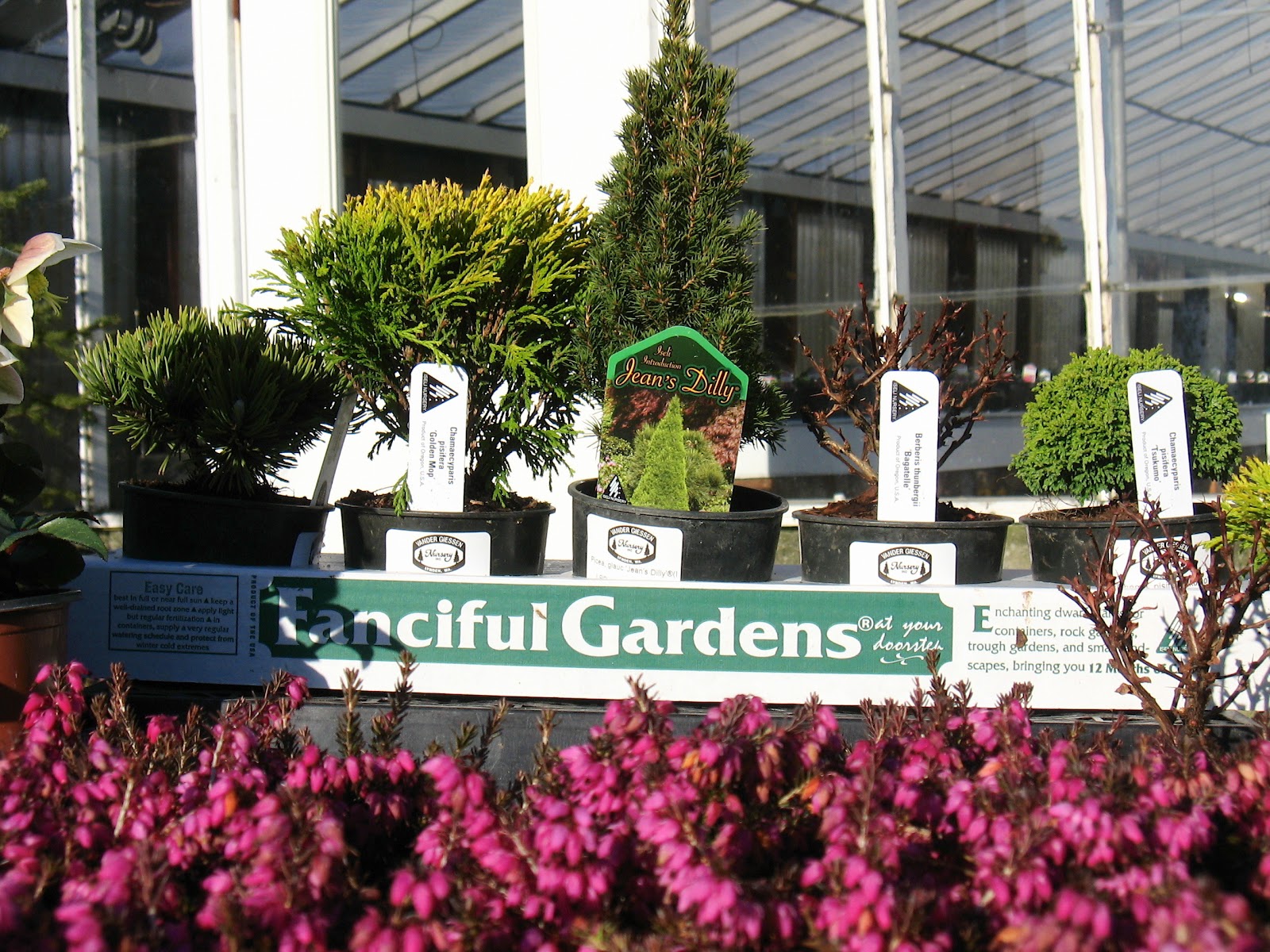 Short Story A Life Changing Day