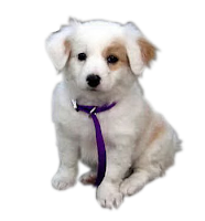 gambar gif: Januari 2013