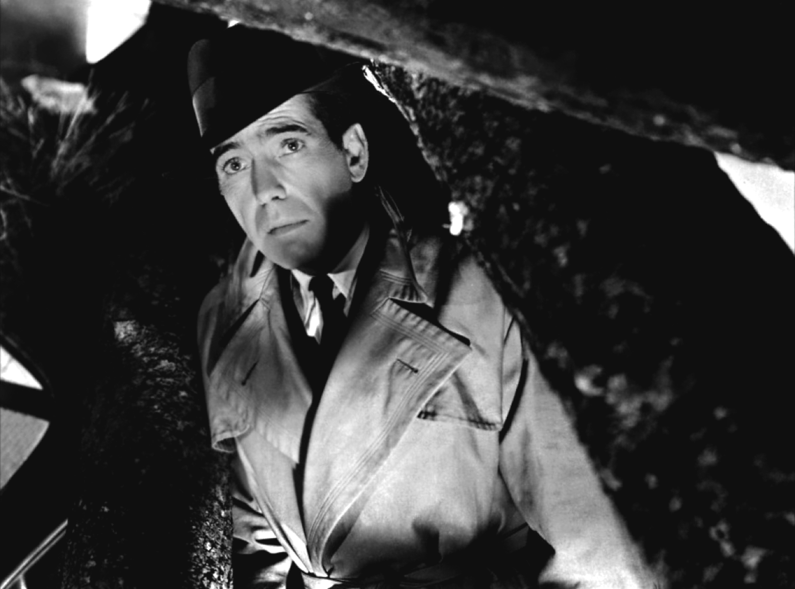 Cinema ConnectionFilm Noir Staple...the Classic Trench GlamAmor