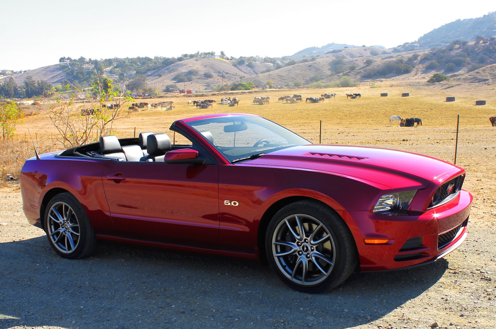 Ford Mustang Convertible