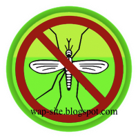 WAP-Site