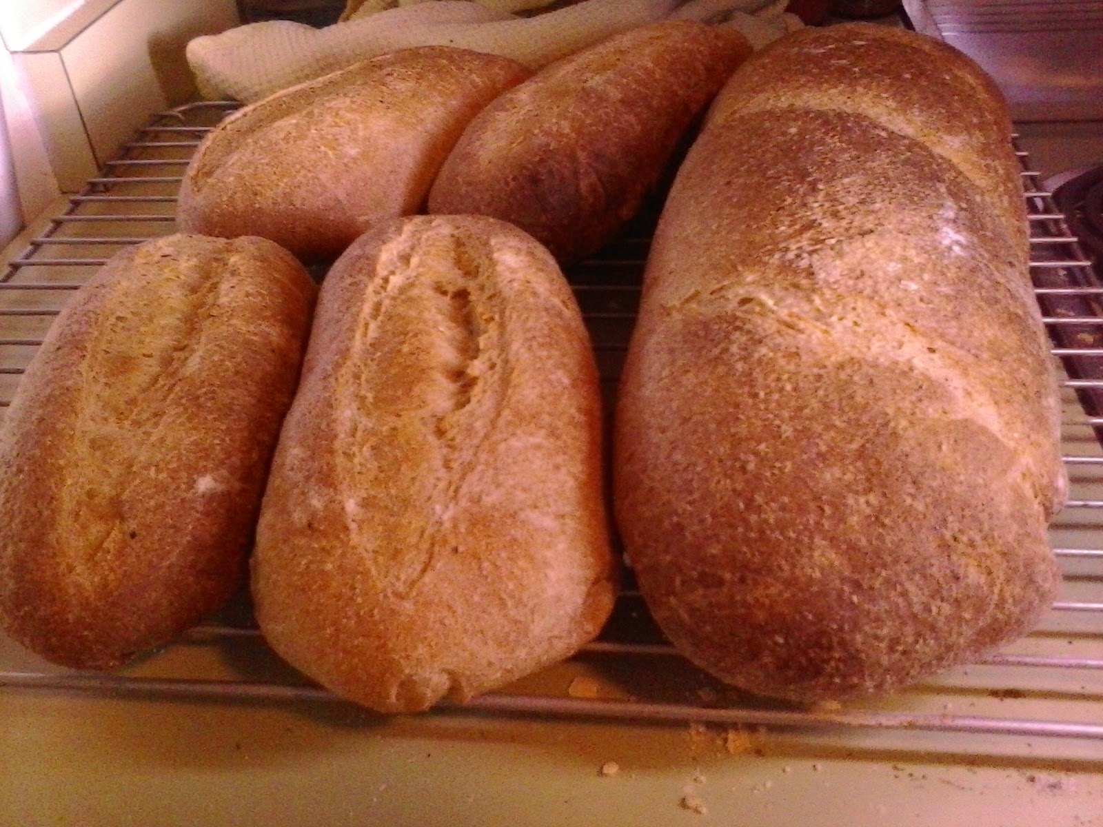 Whole Wheat Italian Bread (Sourdough) Joybee, What's for Dinner?