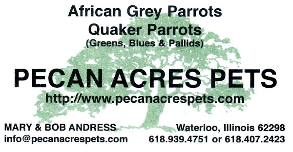 PECAN  ACRES  PETS