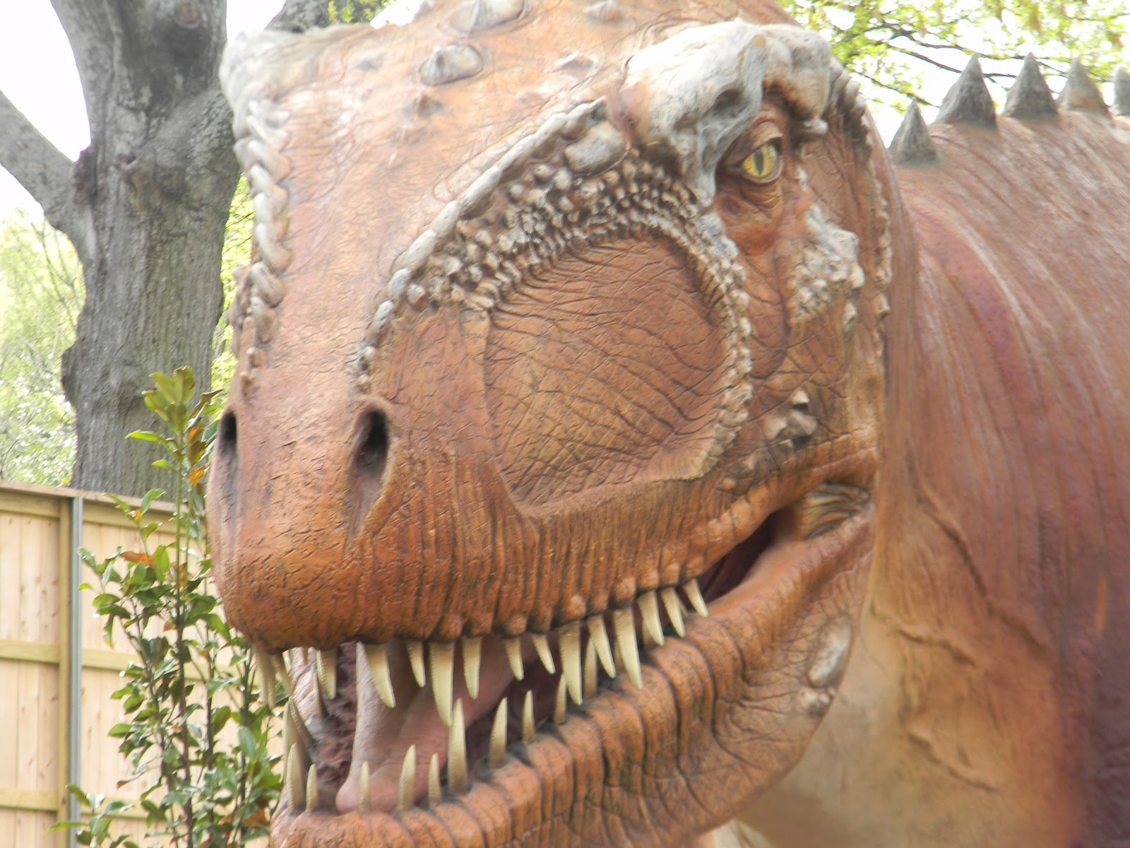 Mothers Of Memphis: Dinosaur Exhibit at the Memphis Zoo!! - My Review