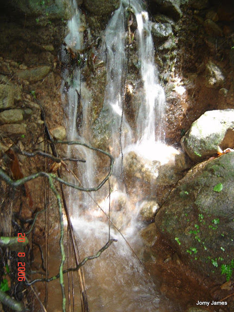 Streams at Velliamattom, Thodupuzha, Idukki