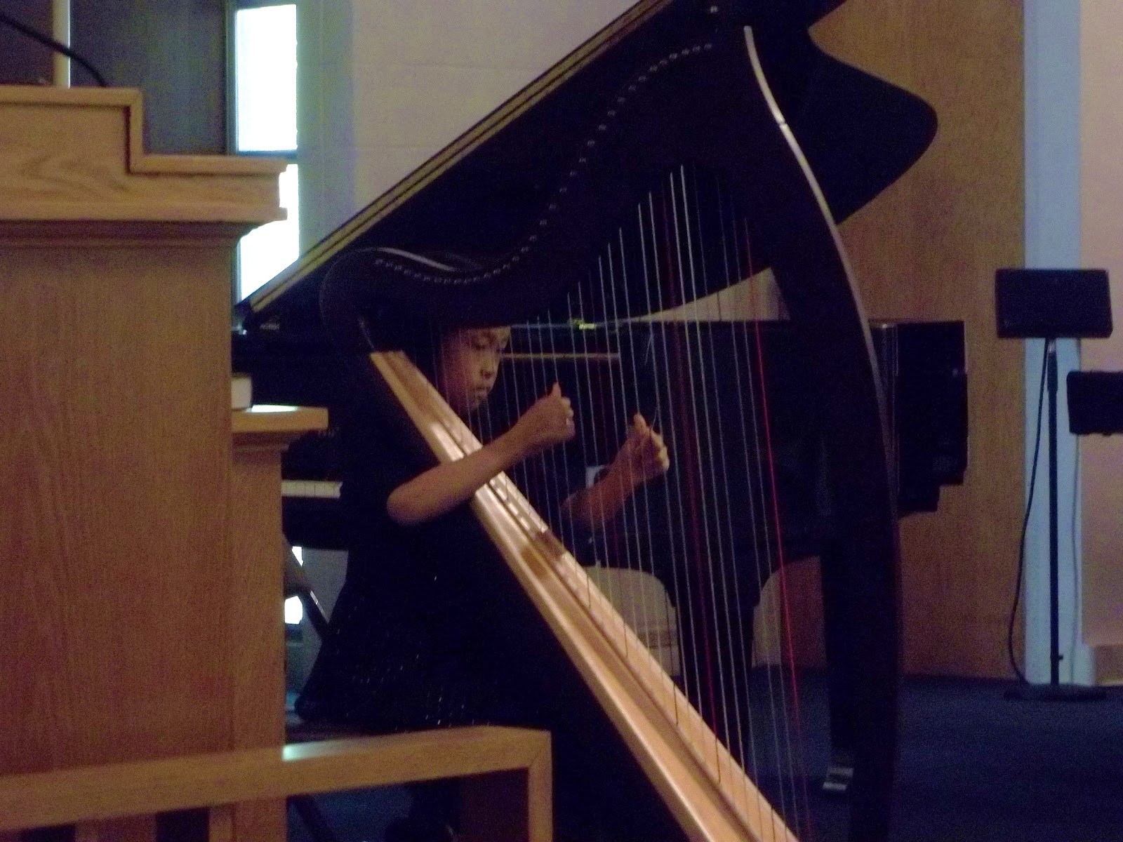 Studio Recital Harp & Piano Lessons in South Bend The Classic Harpist