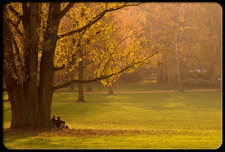 نقره لتكبير أو تصغير الصورة ونقرتين لعرض الصورة في صفحة مستقلة بحجمها الطبيعي