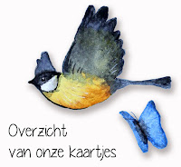 Een overzicht van onze kaartjes