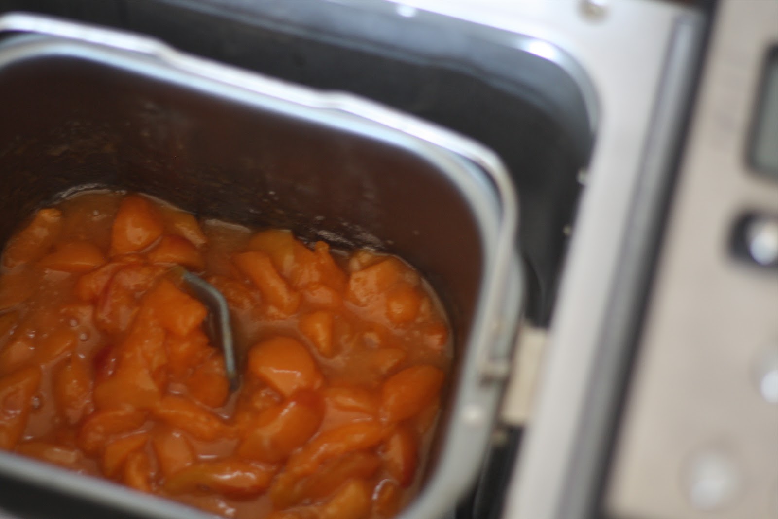 making jam in my bread maker Becca Garber