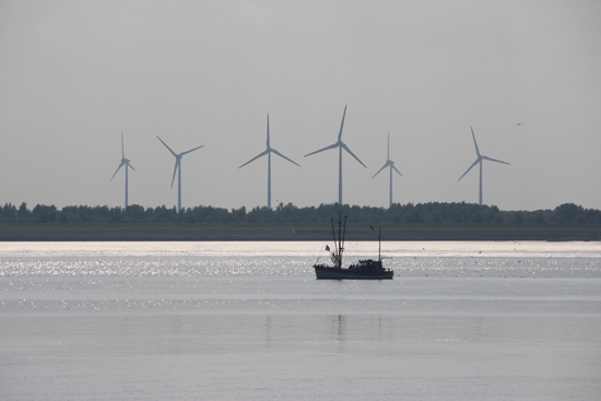 binedoro Blog ⎟ #bloggenmitherz auf Borkum ⎟ Auf der Fähre nach Borkum