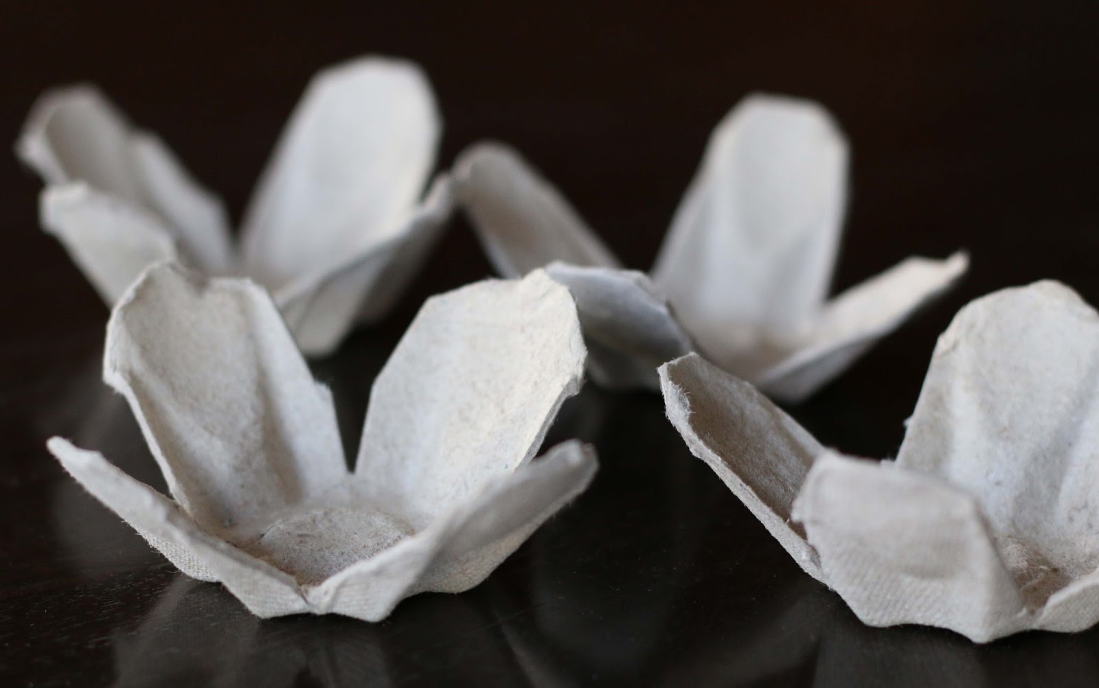 Upcycle // Papier Mache Roses from an Egg Carton