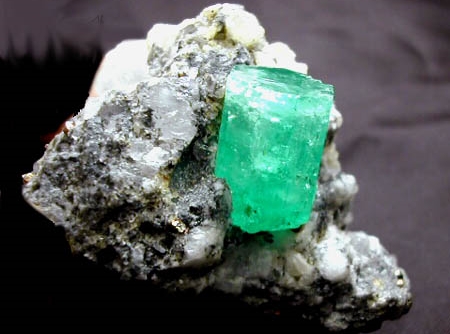 quaeram Berillo significato e provenienza