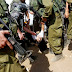 Soldados israelíes maltratan a diplomática francesa 