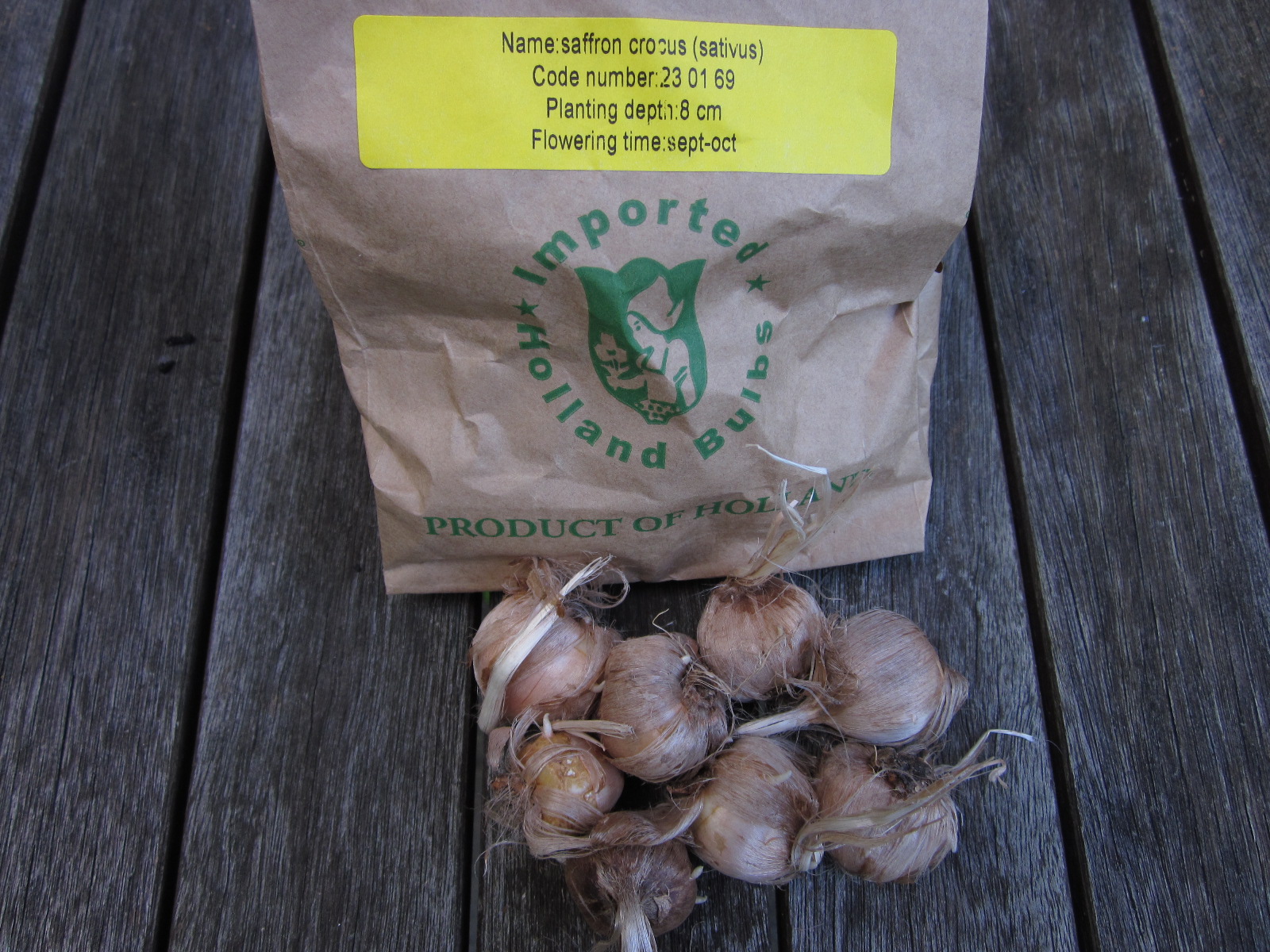 Saffron Crocus Bulbs