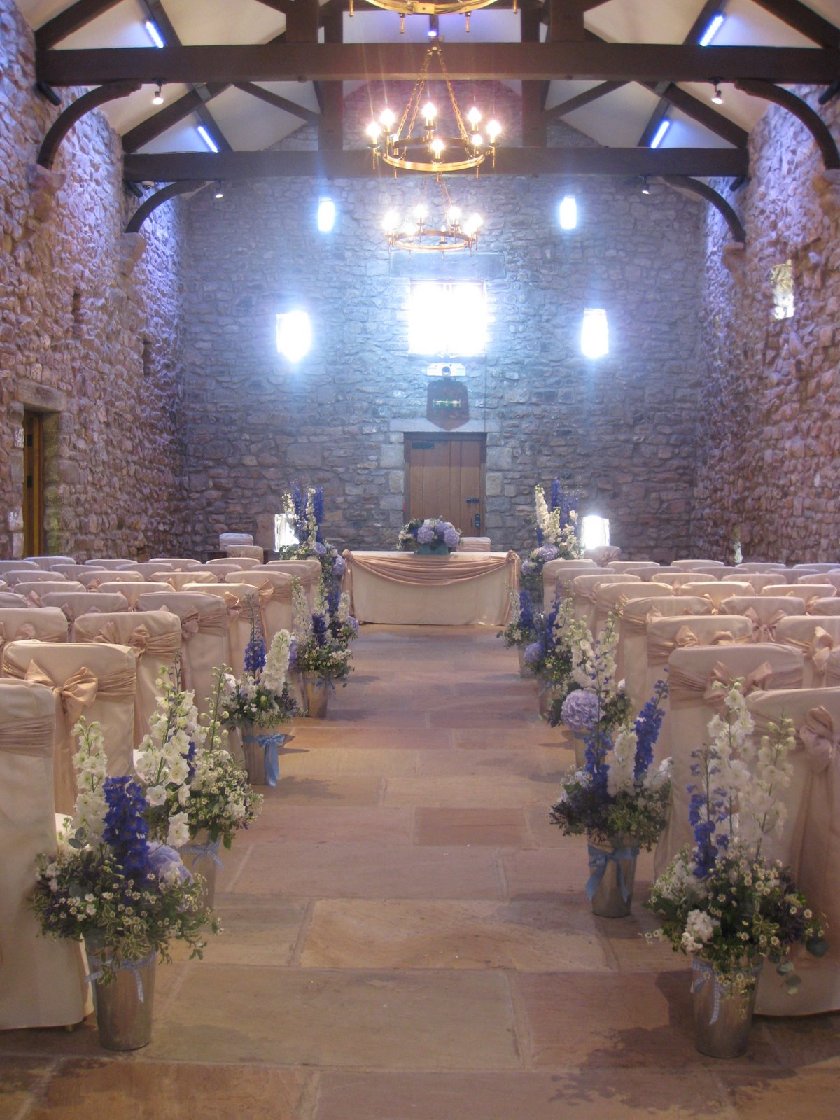 Laura Coleman Flowers Daisies in December, well, August actually