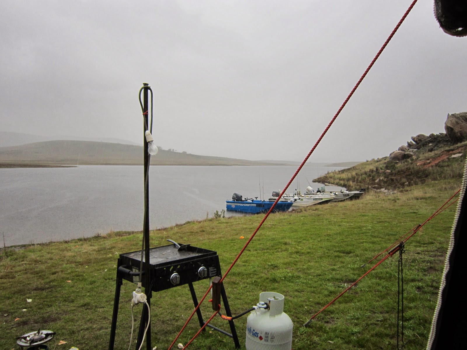 Gundagai Anglers Club Fishing Reports Gundagai Anglers Club