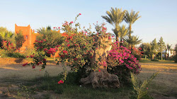 Vue de notre site de camping à Marrakech