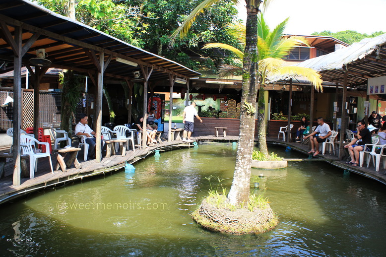 Cherry Berry Fishing and Prawning at Bottle Tree Park