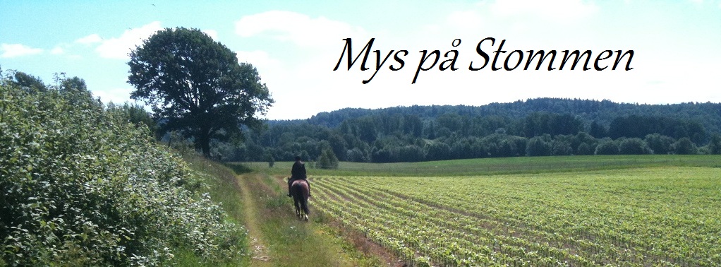 Mys på Stommen