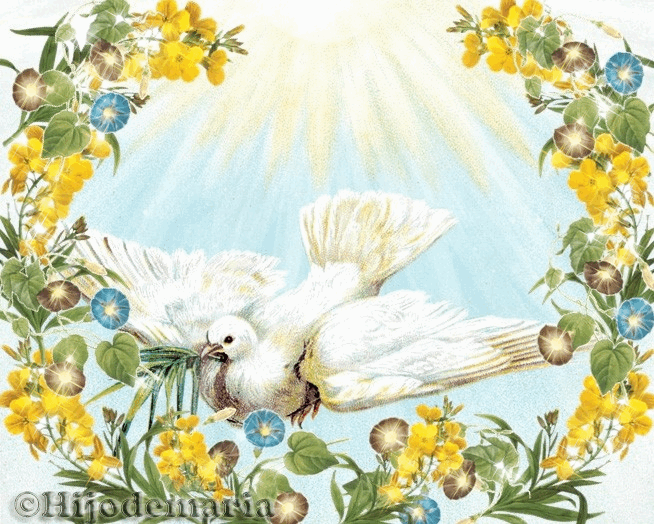 ¡Ven Espíritu Santo y transfármanos el corazón!