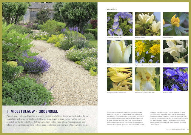 Tuinontwerp Tuinatelier Herman Vermeulen Viburnum