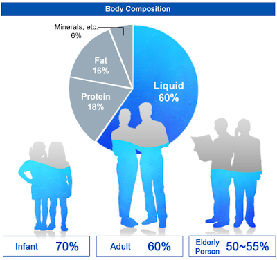 the human body is made up of water