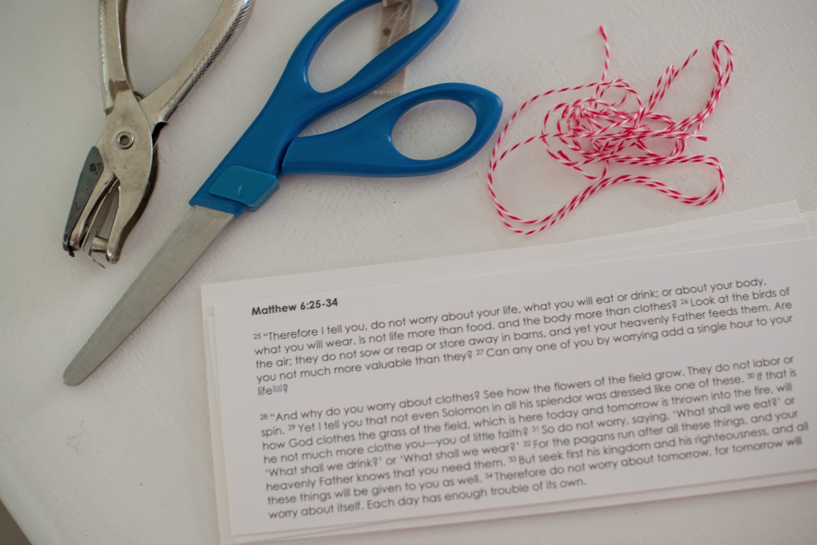 Domestic Fashionista Snack Bags for the Homeless