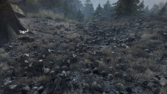 The-Vanishing-of-Ethan-Carter-PC-Screenshot-1