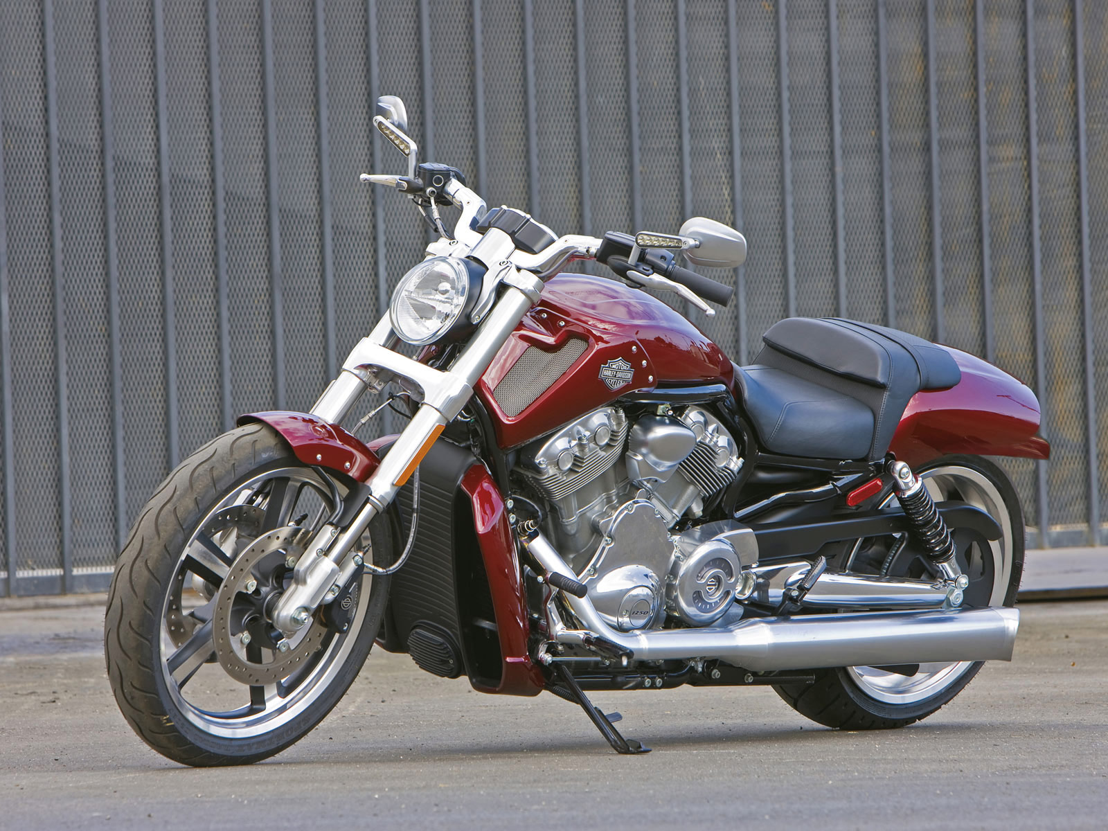 HARLEYDAVIDSON VRSCF VRod Muscle 2009