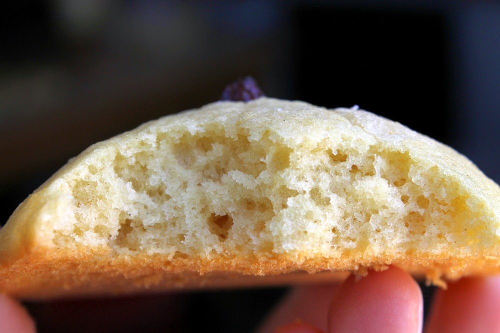 Shirley S No Bake Cookies at Celsa Page blog