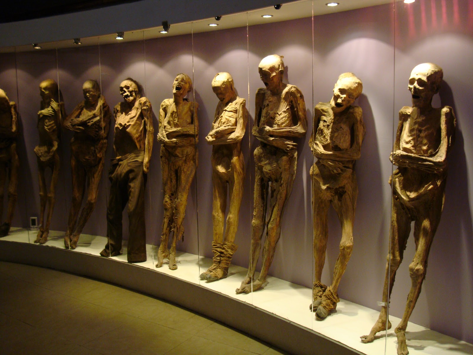 Guanajuato Mexico Mummies