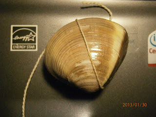 [Image: P1300343.JPG]