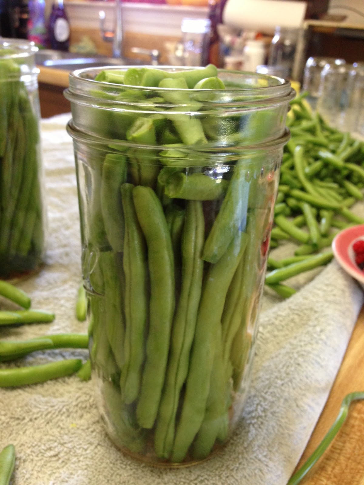 Pressure Cooking and Canning Canning Dilly Beans