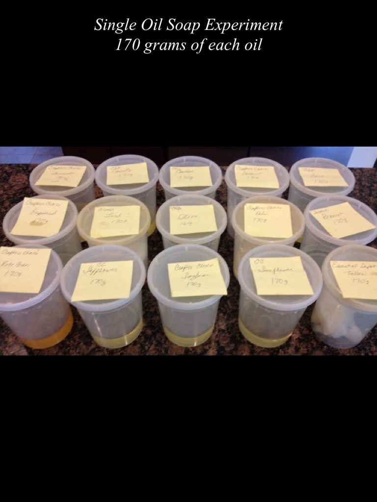 Alchemy & Ashes Single Oil Soap Experiment Phase One