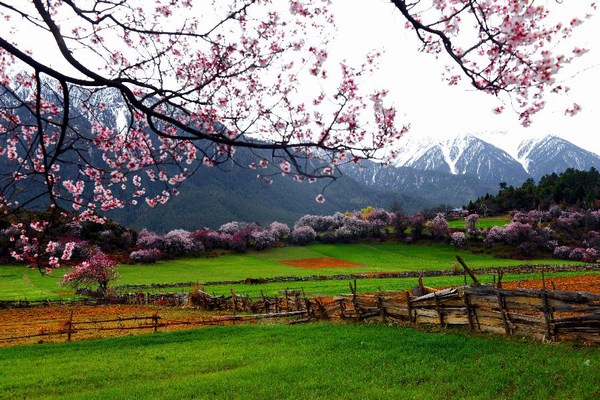 Beautiful Scenery of a Mountain Village in Tibet