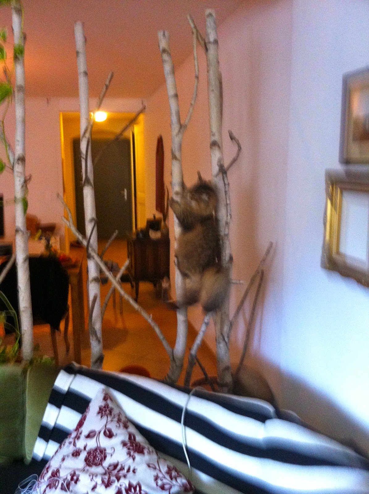 DIY tree room divider DIY tree room divider