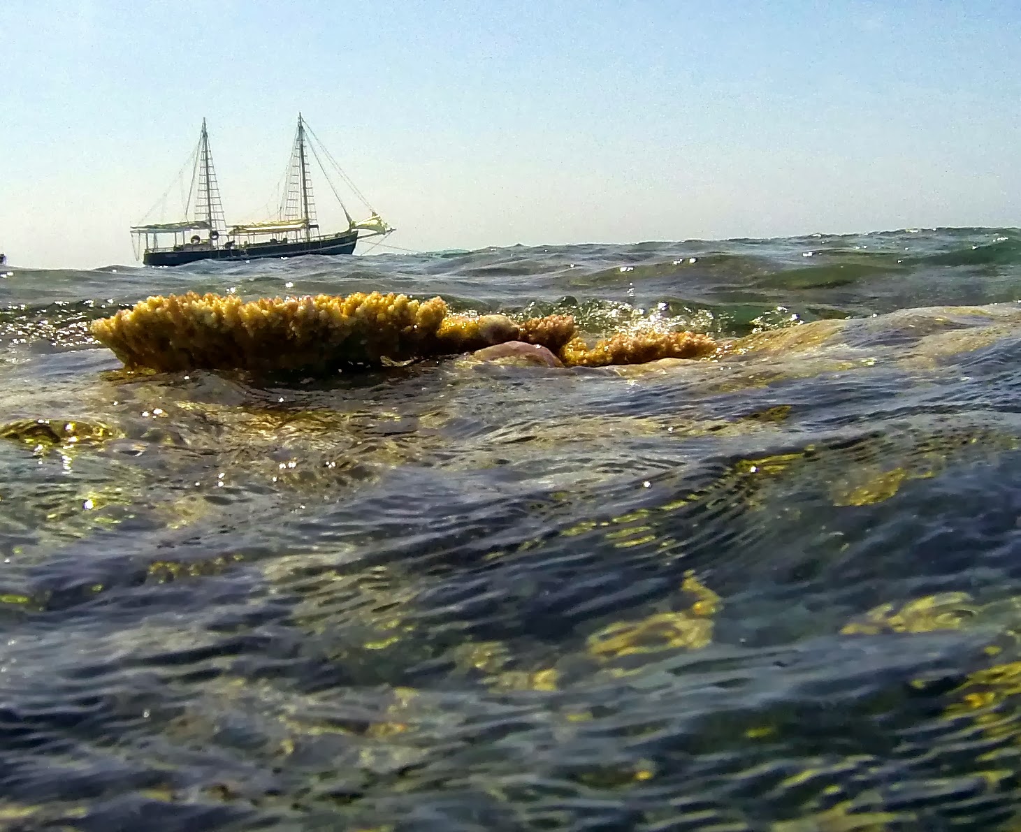 Inspiration - ocean, reef and our sailing ship - The Falla  - (click on pic)