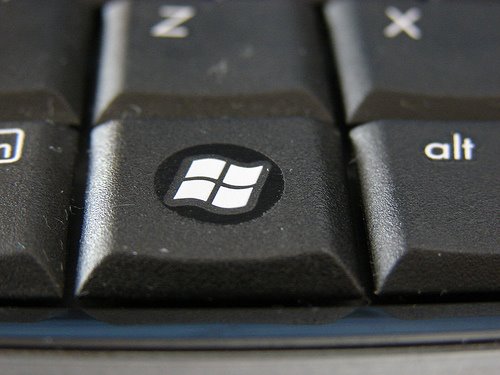 Windows Key Logo