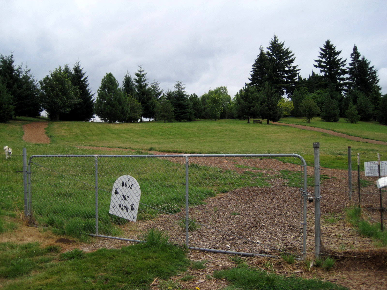 Ross Dog Park Vancouver Wa Ross Dog Park Vancouver Wa