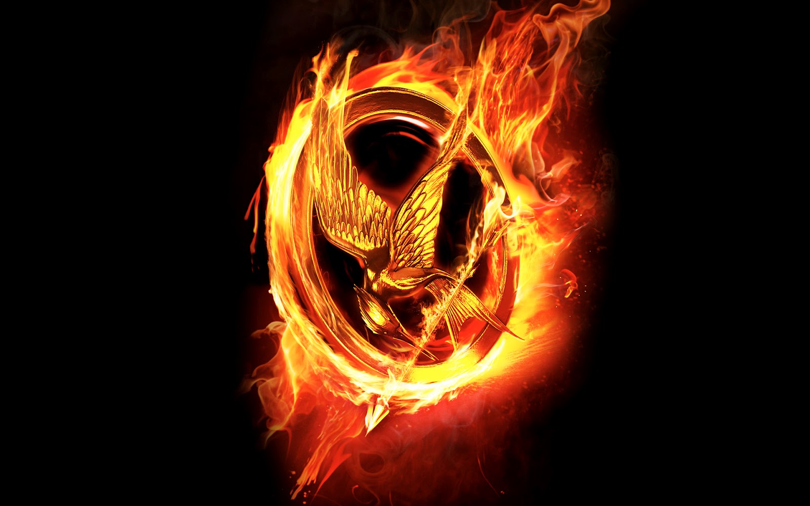 http://2.bp.blogspot.com/-FKXLhG5YAnQ/T2r7yQ5HohI/AAAAAAAABUg/OP-ZooEE9sg/s1600/Hunger+Games+Mockingjay.jpg
