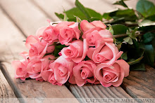 [roses+-throughaphotographerseyes.blogspot.jpg]