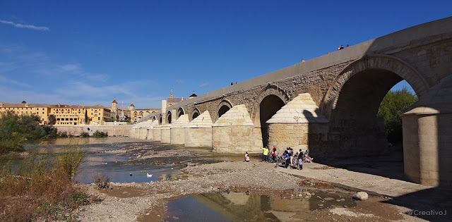 guadalquivir, río, lecho seco, puente romano, córdoba, españa, turismo, pasear, ribera, molino San Antonio, patos, gansos, ganso, oca, ansar, pato, malvasias, rocas, piedras