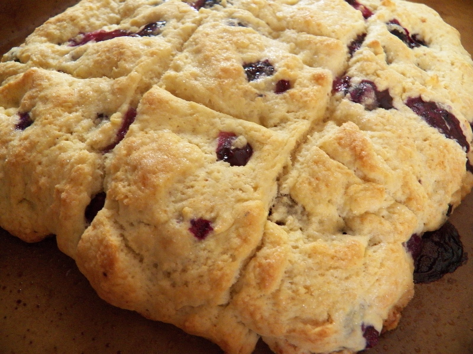Comfy Cuisine Blueberry Cream Biscuits