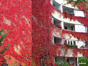 Bastelnixe Wannseenixe Sozusagen Vergnugt