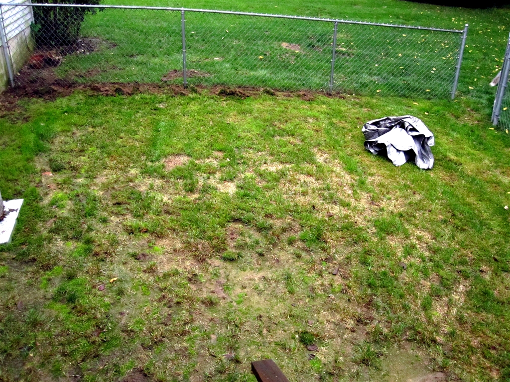 Ideas Dogs Small Backyard Secondsunco Ideas Dogs Small Backyard Secondsunco