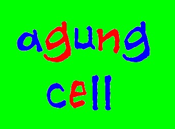agung Cell