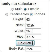 Healthy+body+fat+percentage+calculator