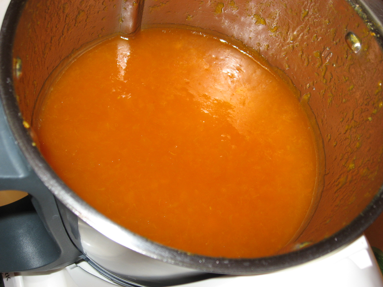 Imparandocucinando Marmellata Di Albicocche Con Il Bimby E Fruttapec